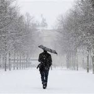 Meet your Posher, Phong